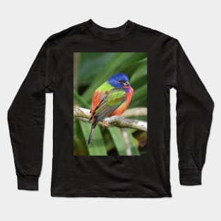 Painted Bunting Bird on Branch Long Sleeve T-Shirt